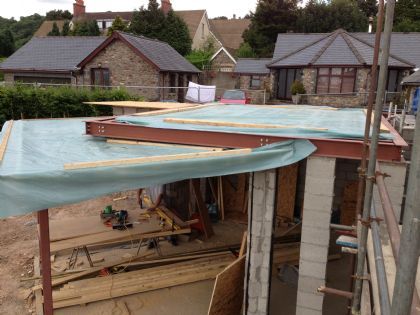 Dovecot Project